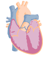 heart5.gif (57102 bytes)