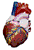 heart1.gif (11418 bytes)